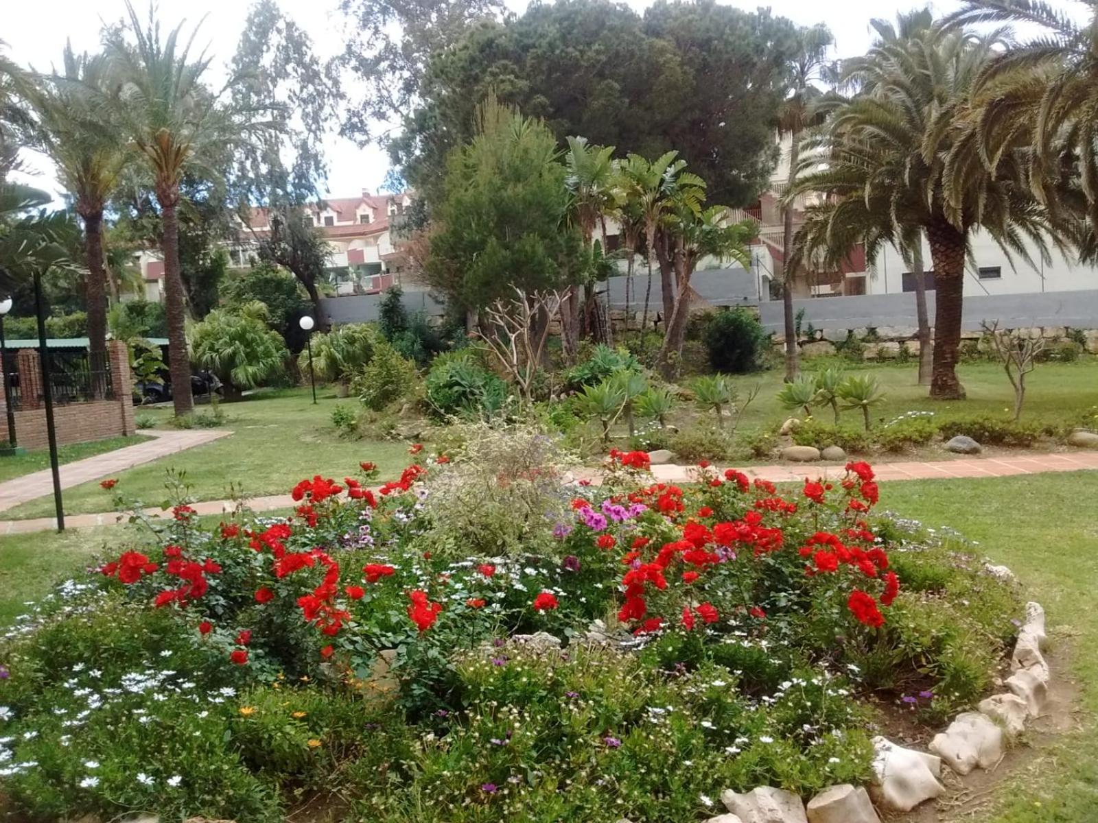 Apartment Marina Golf Playa *